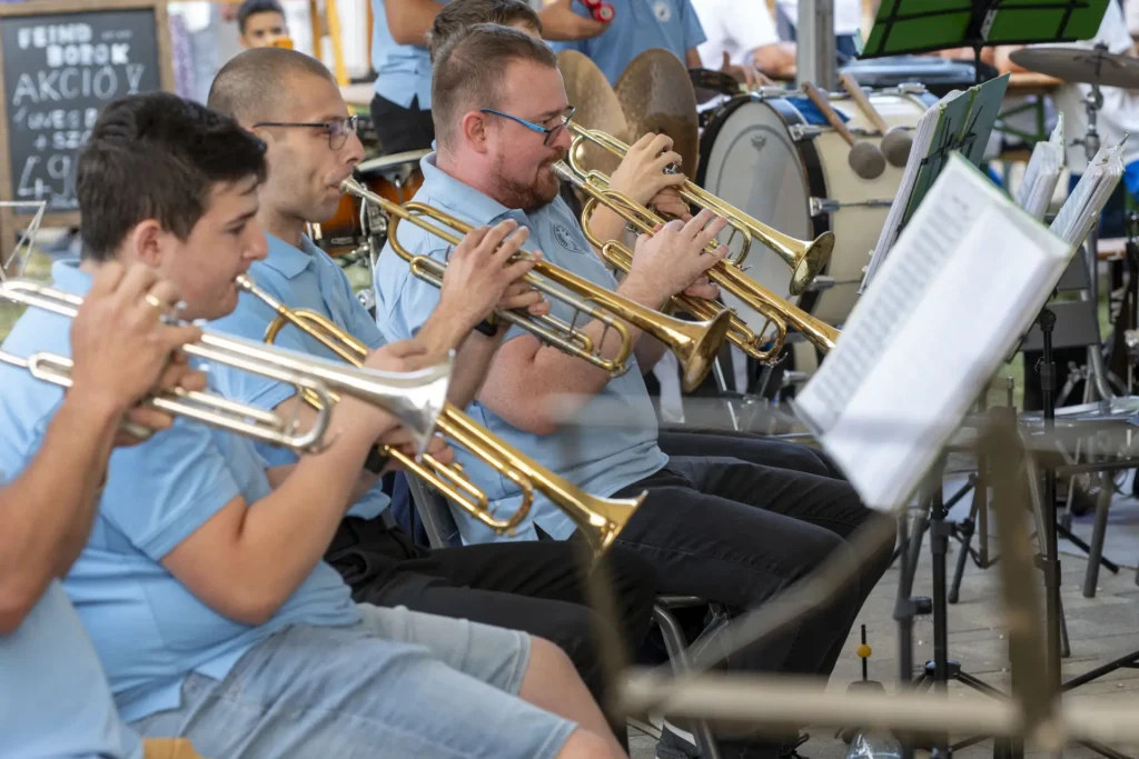 Sörfesztivál Vonyarcvashegy